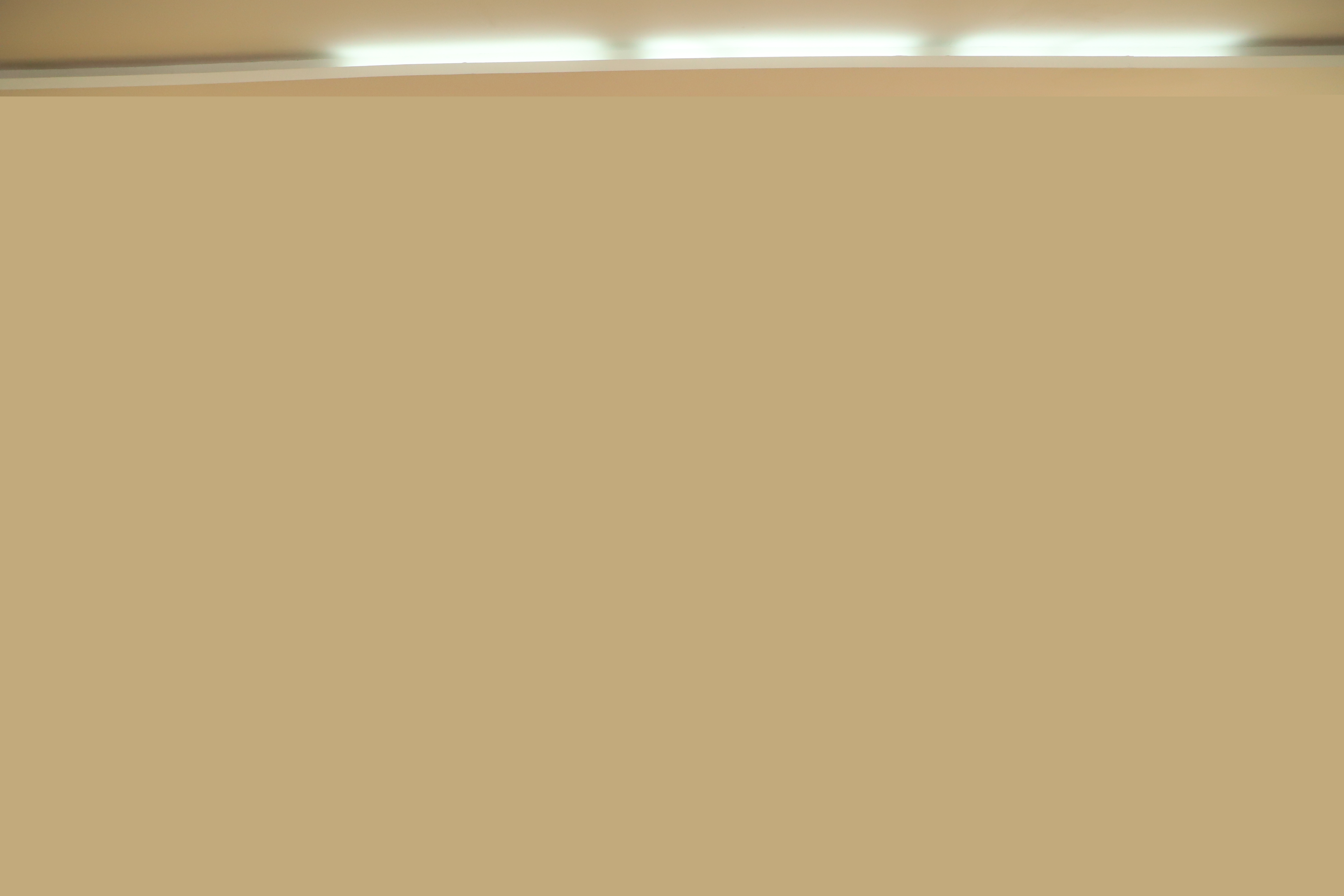 IMG_0874.JPG IMG_0874.JPG